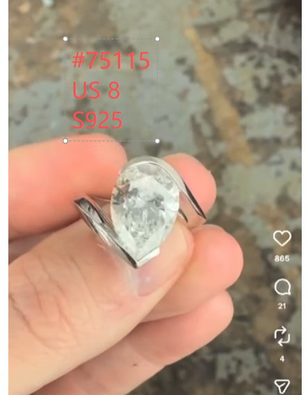 S925 Ring with Moissanite Customise Link for Alicia 2.3